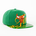 GORRA MITCHELL & NESS BULLS FINALS WRAP GREEN