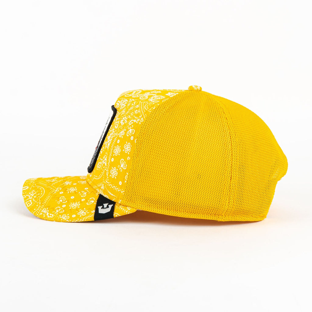GORRA GOORIN BROS PUNK YELLOW