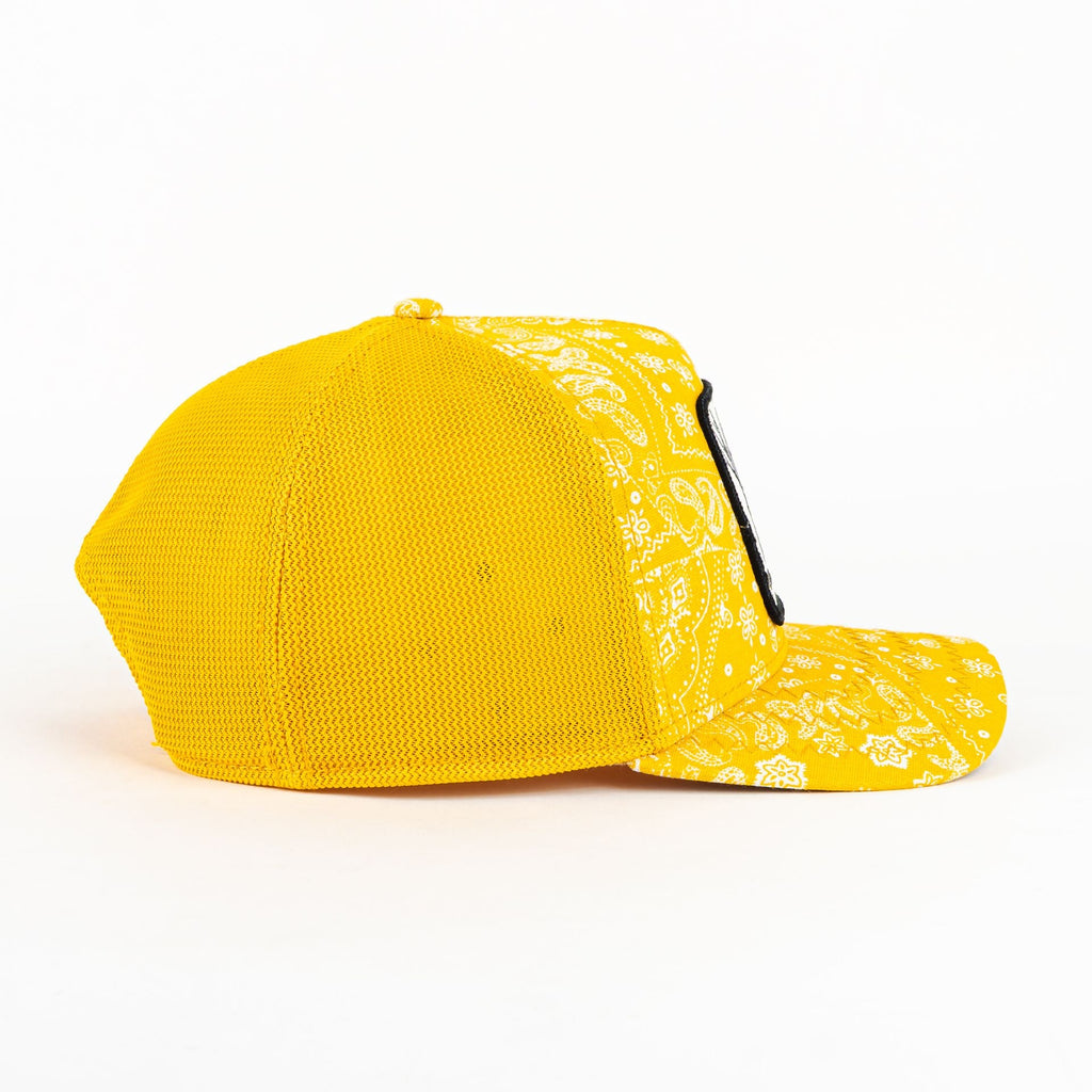 GORRA GOORIN BROS PUNK YELLOW