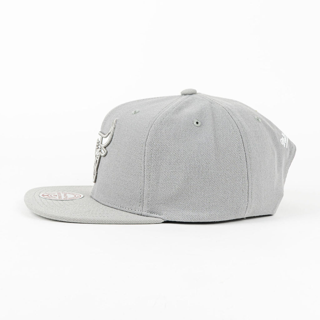 GORRA MITCHELL & NESS BULLS EVERGREEN GREY