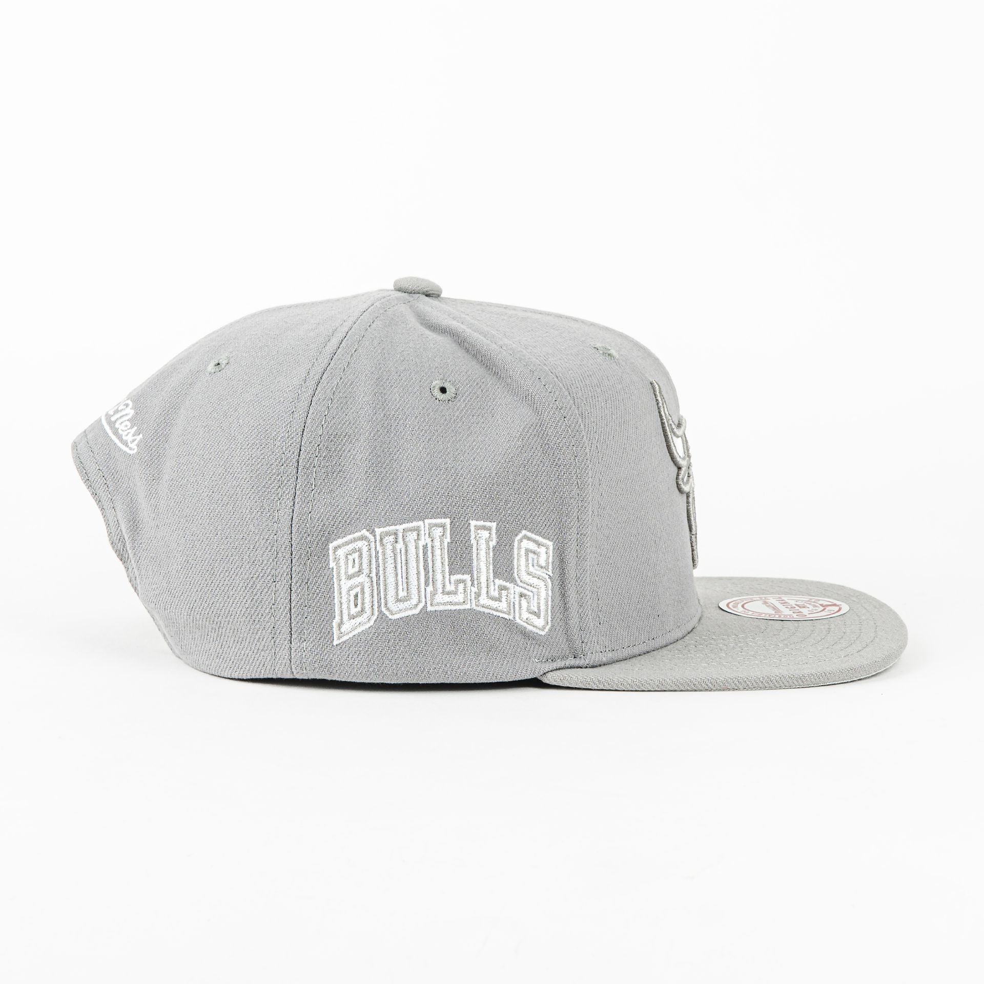 GORRA MITCHELL & NESS BULLS EVERGREEN GREY