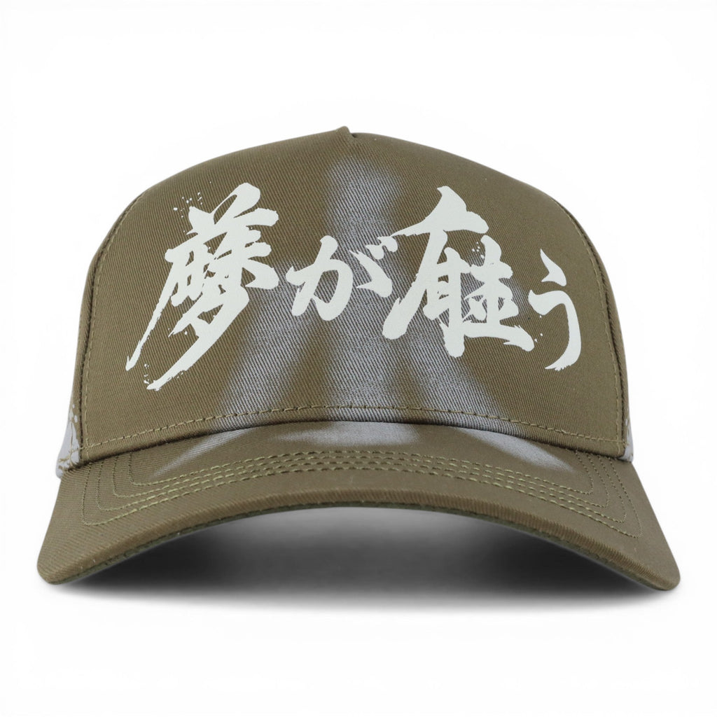 GORRA DREAMER KOI GREEN/WHITE